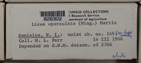 Image Associated With the Occurence